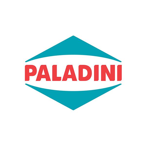 PALADINI