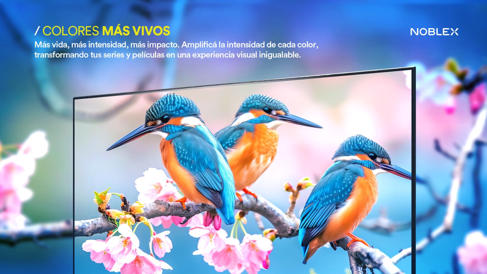 TV Noblex 58" Android DB58X7550 - Imagen 4